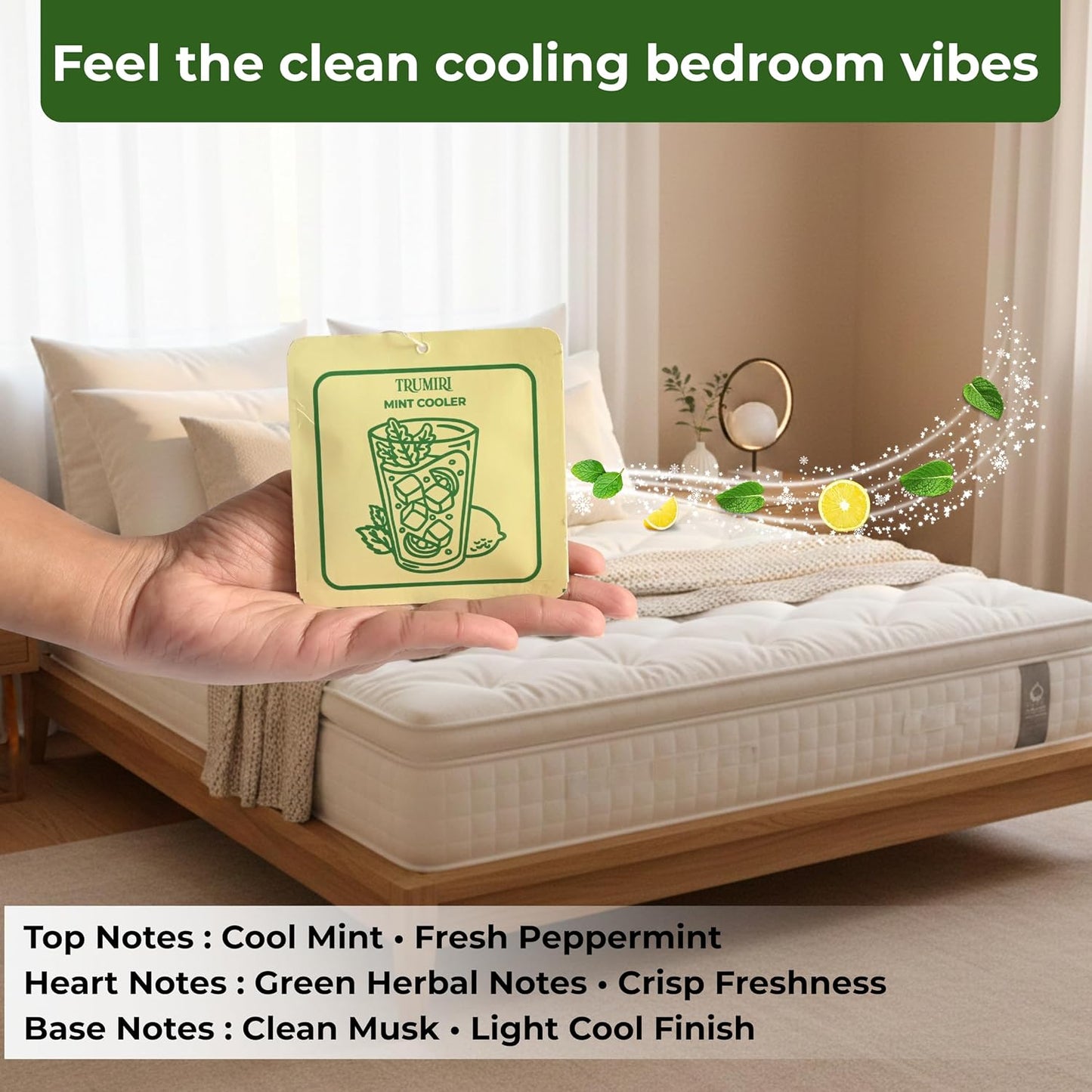 Mint Cooler - Room Deodorizer Gel Odor Eliminator For Home - Bathroom Air Freshener Odor Absorber - Closet Deodorizer - Long Lasting Non Plug In Strong Scent For Kitchen Trash Basement Rv Smell