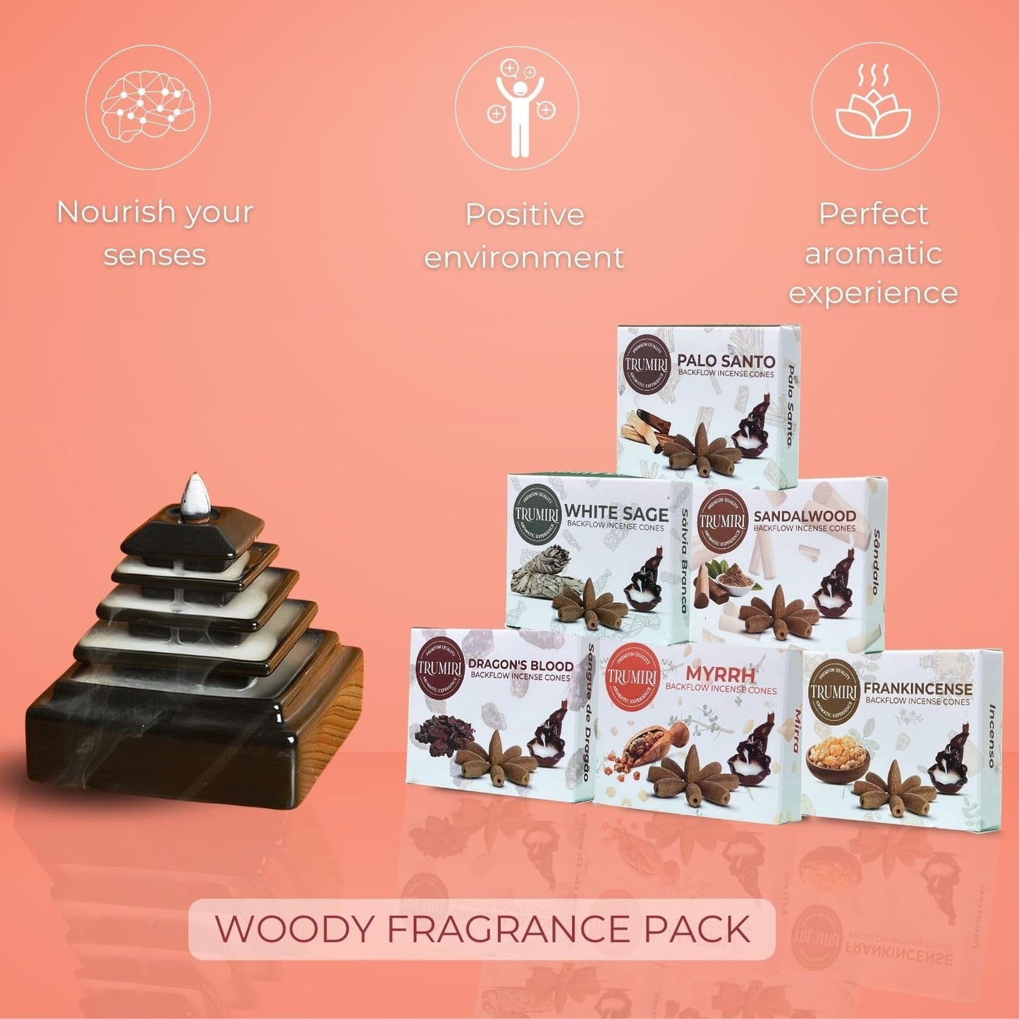 Woody Scents Backflow Incense Cones Variety Pack of 6 Scents with 10 Waterfall Cones per Scent - Total 60 Cones