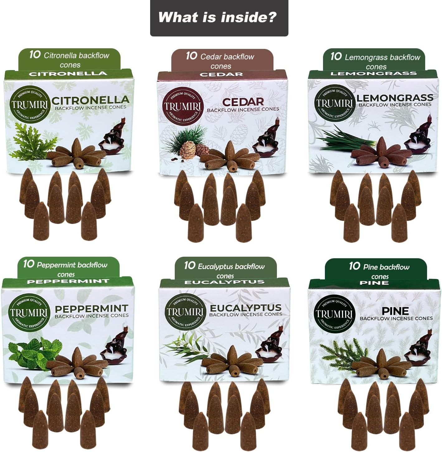 Leafy Scents Backflow Incense Cones Variety Pack of 6 Scents with 10 Waterfall Cones per Scent - Total 60 Cones