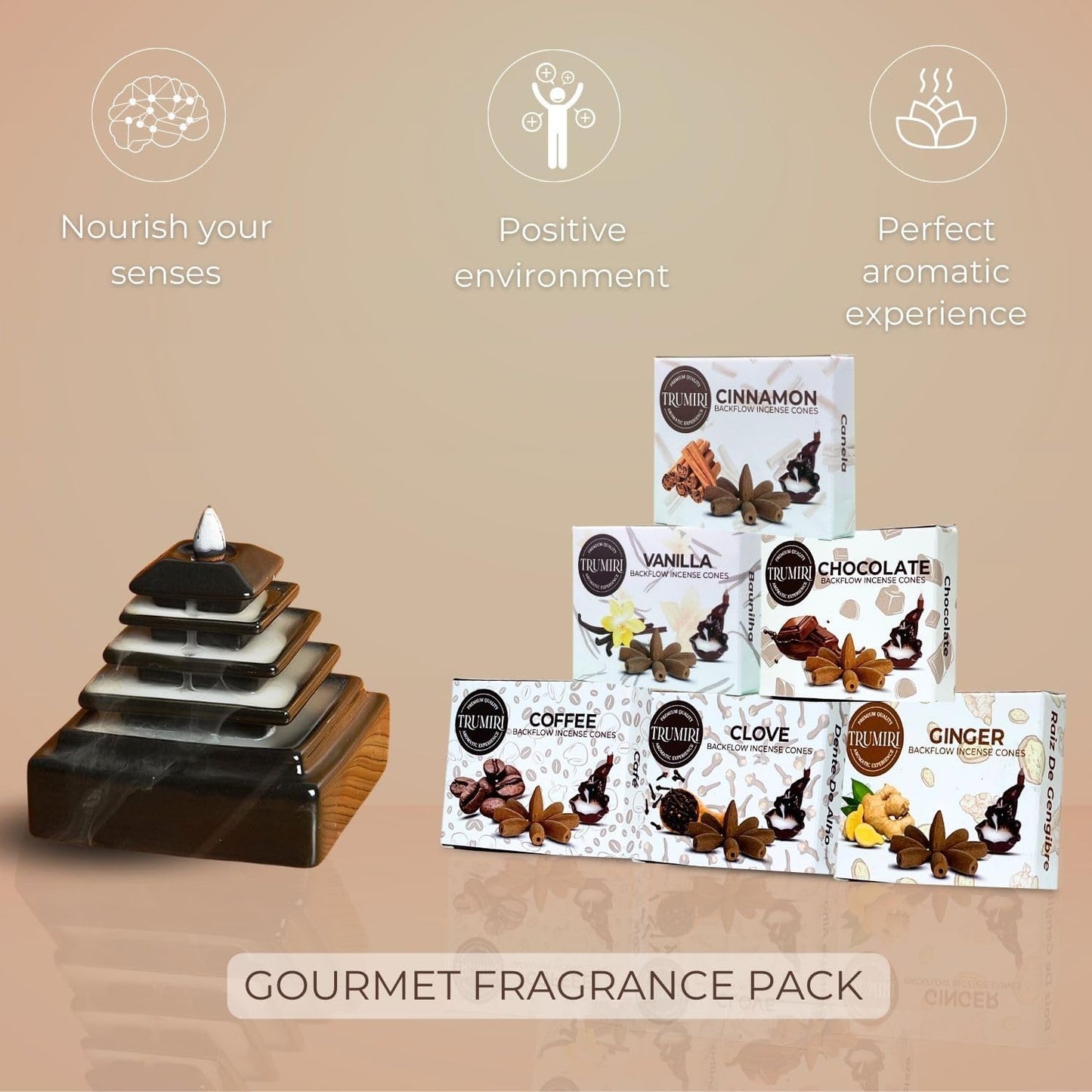 Gourmet Scents Backflow Incense Cones Variety Pack of 6 Scents with 10 Waterfall Cones per Scent - Total 60 Cones