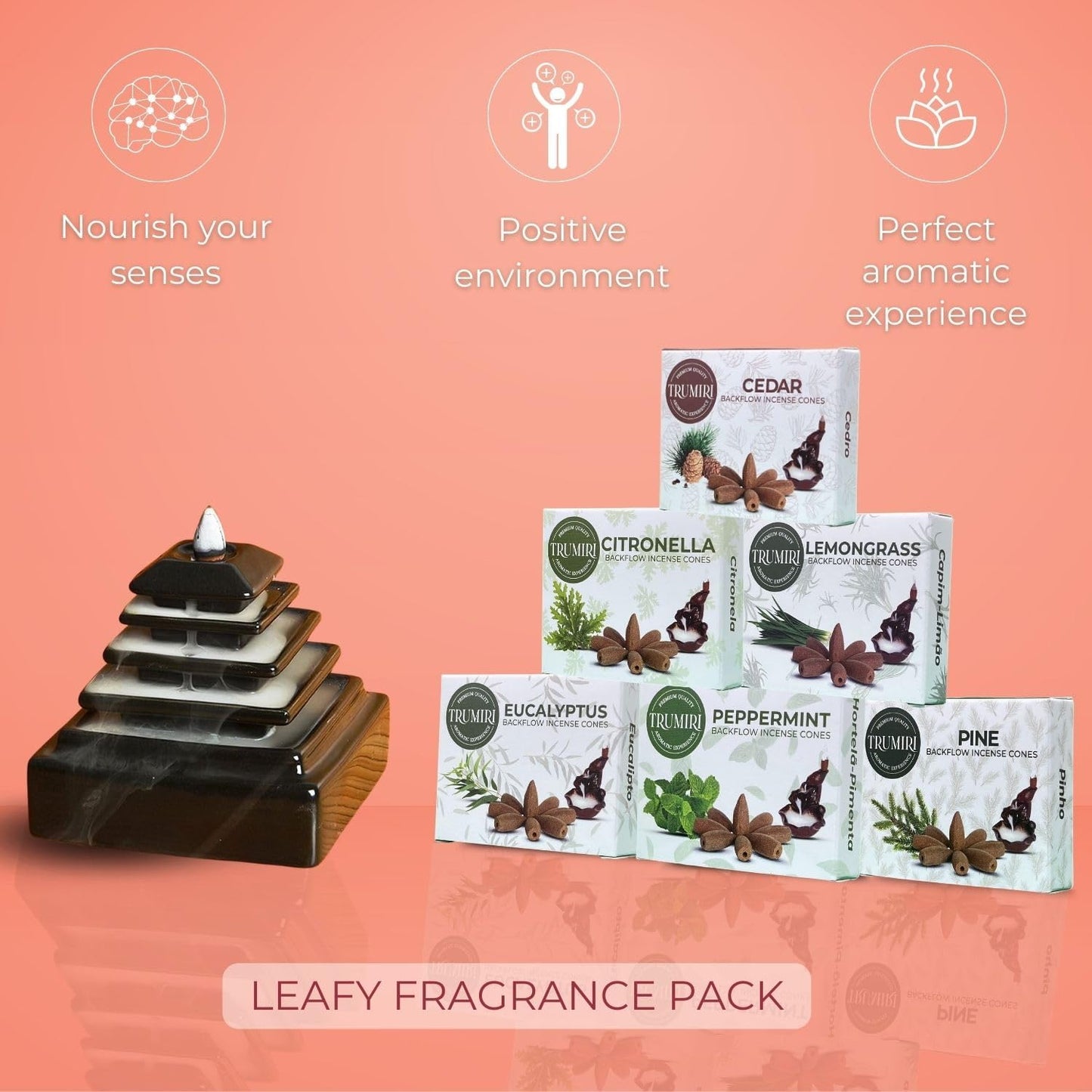 Trumiri Leafy Scents Backflow Incense Cones Variety Pack of 6 Scents with 10 Backflow Cones per Scent - Total 60 Cones