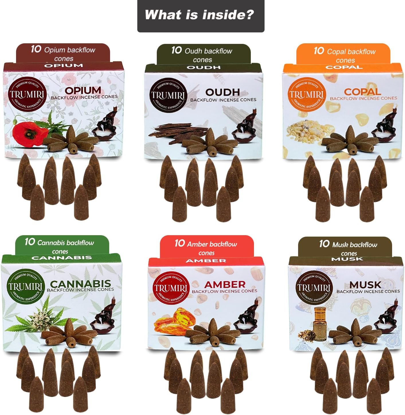 Exotic Scents Backflow Incense Cones Variety Pack of 6 Scents with 10 Waterfall Cones per Scent - Total 60 Cones