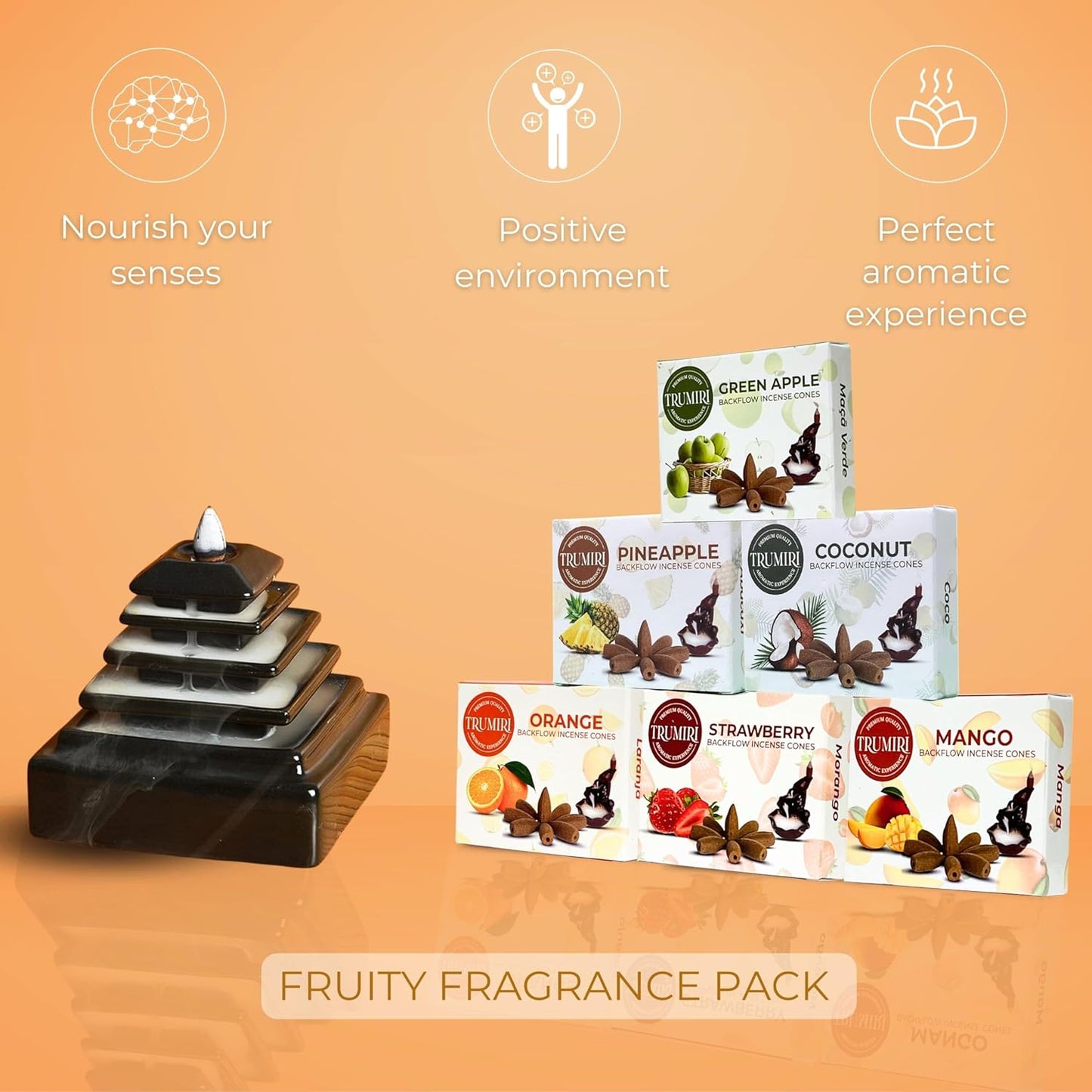 Trumiri Fruity Scents Backflow Incense Cones Variety Pack of 6 Scents with 10 Backflow Cones per Scent - Total 60 Cones