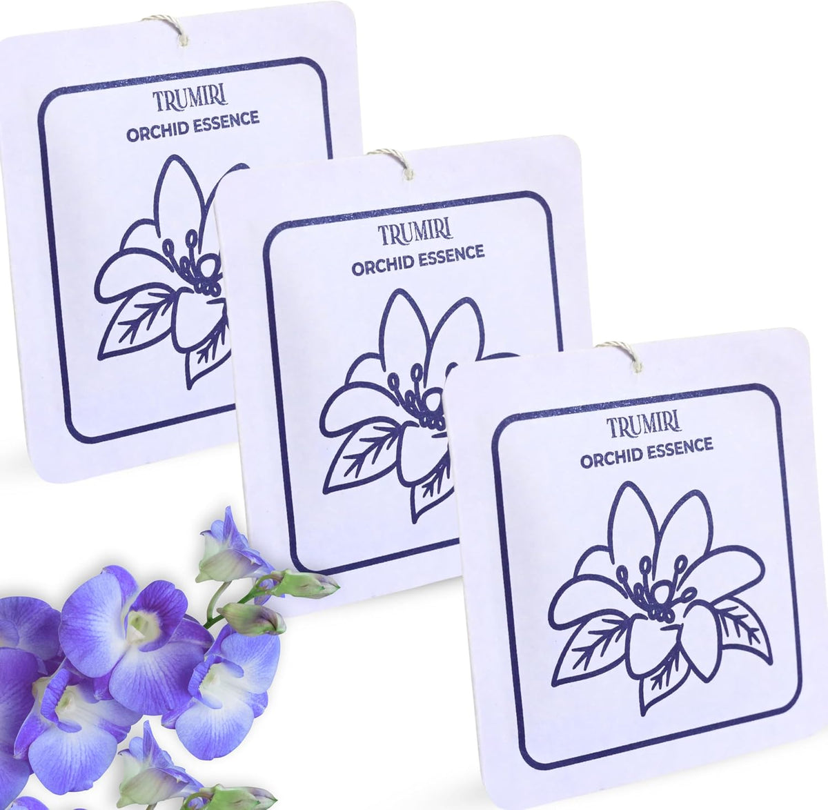Orchid Essence - Scented Sachets for Drawer and Closet Freshener with Long Lasting Scent - Pack of 3 - Home Fragrance Sachet Bag Dresser Refresher Packet - Olores para Closet De Ropa