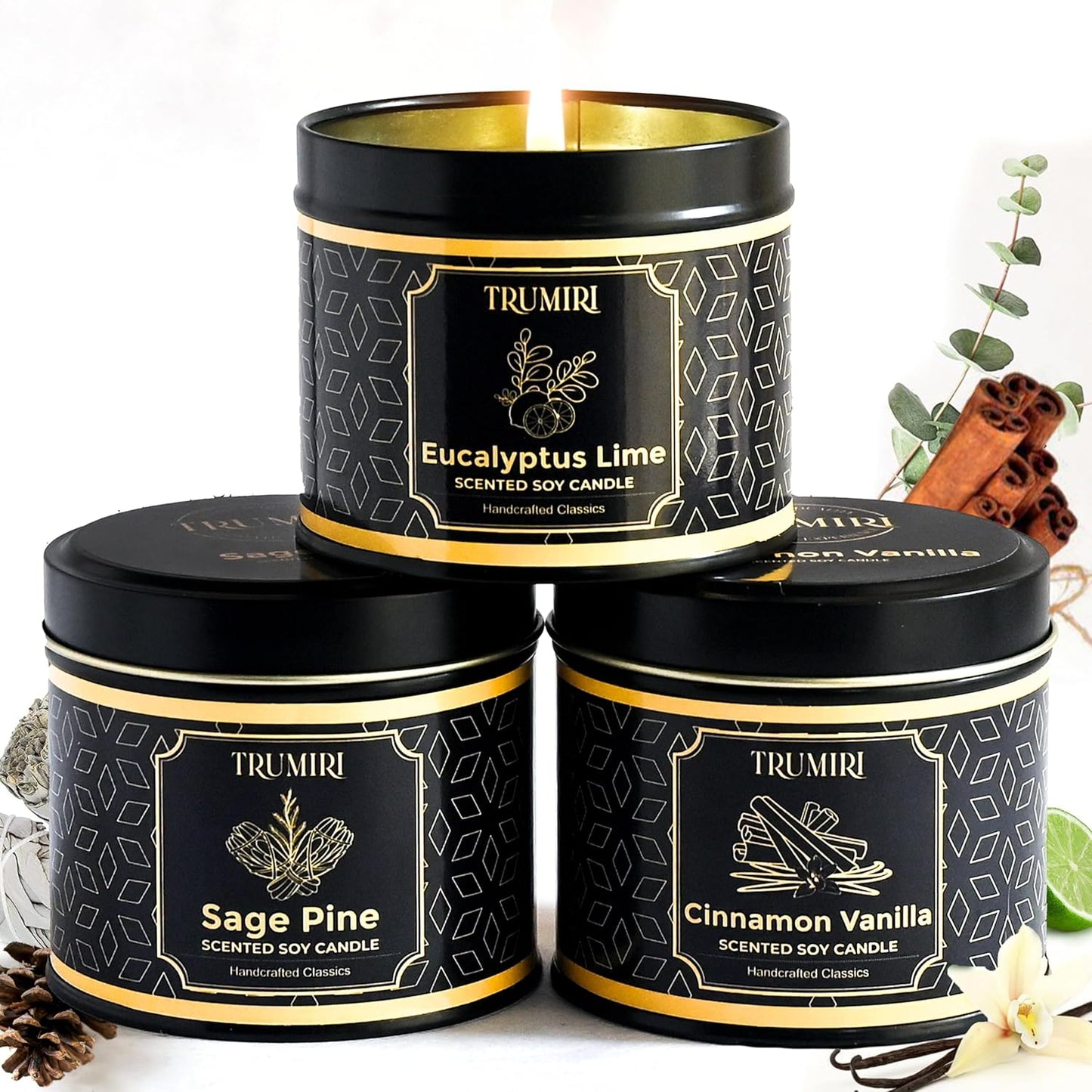 Candle Gift Set Of 3 Sage Pine|Cinnamon Vanilla|Eucalyptus Lime Highly Scented Soy Candels Clean Non Toxic Velas Aromáticas Favors For Women Coworkers Friends Guests Also For Diwali Christmas Holidays