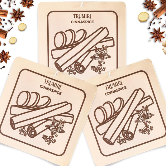 Cinnamon Scented Drawer & Closet Air Freshener Sachet –Pack of 3– Long-Lasting Hanging Sachet Bag, Scent Diffuser, Odor Eliminator, Wardrobes, Dressers & Fabric– Home Fragrance Gift Set for Neighbors