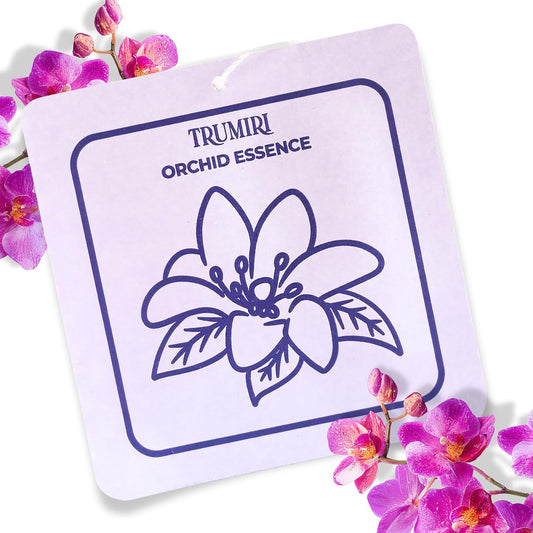 Orchid Essence - Scented Sachets for Drawer and Closet Freshener with Long Lasting Scent - Home Fragrance Sachet Bag Dresser Refresher Packet - Olores para Closet De Ropa