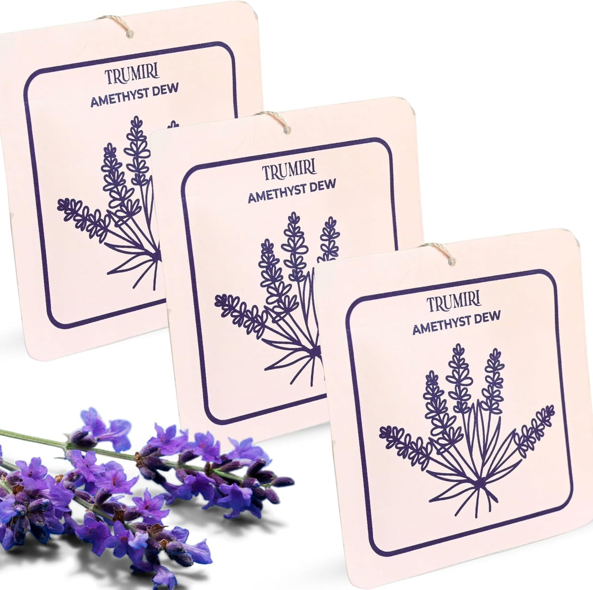 Amethyst Dew - Scented Sachets for Drawer and Closet Freshener with Long Lasting Scent - Pack of 3 - Home Fragrance Sachet Bag Dresser Refresher Packet - Olores para Closet De Ropa