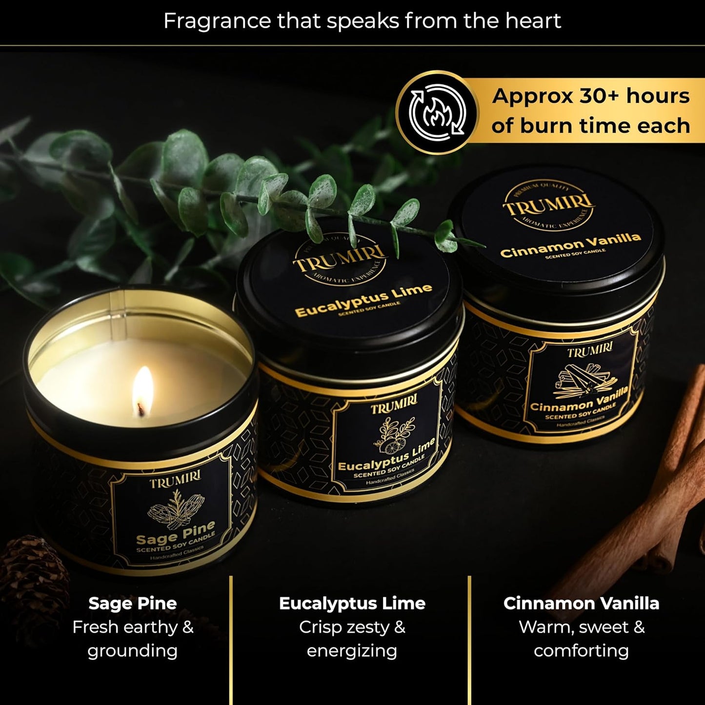 Candle Gift Set Of 3 Sage Pine|Cinnamon Vanilla|Eucalyptus Lime Highly Scented Soy Candels Clean Non Toxic Velas Aromáticas Favors For Women Coworkers Friends Guests Also For Diwali Christmas Holidays