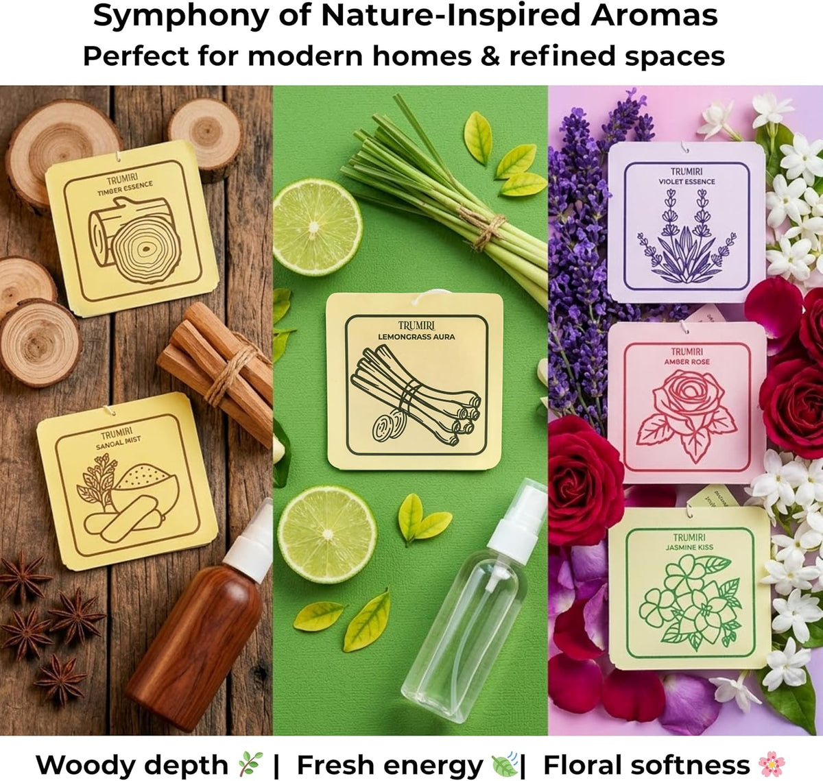 Room Deodorizer Gel Odor Eliminator For Home - Variety Pack Of 6 - Timber Essence|Sandal Mist|Lemongrass Aura|Violet Essence|Amber Rose|Jasmine Kiss - Bathroom Air Freshener Odor Absorber