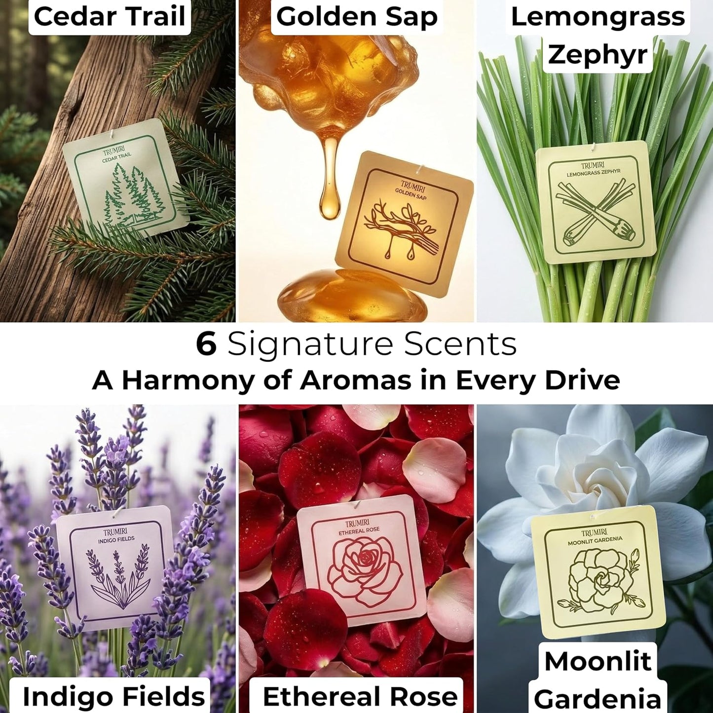 Long Lasting Car Air Freshener Deodorizer Hanging Type Gel Based Scent Diffuser - Variety Pack Of 6 - Cedar Trail|Golden Sap|Lemongrass Zephyr|Indigo Fields|Ethereal Rose|Moonlit Gardenia