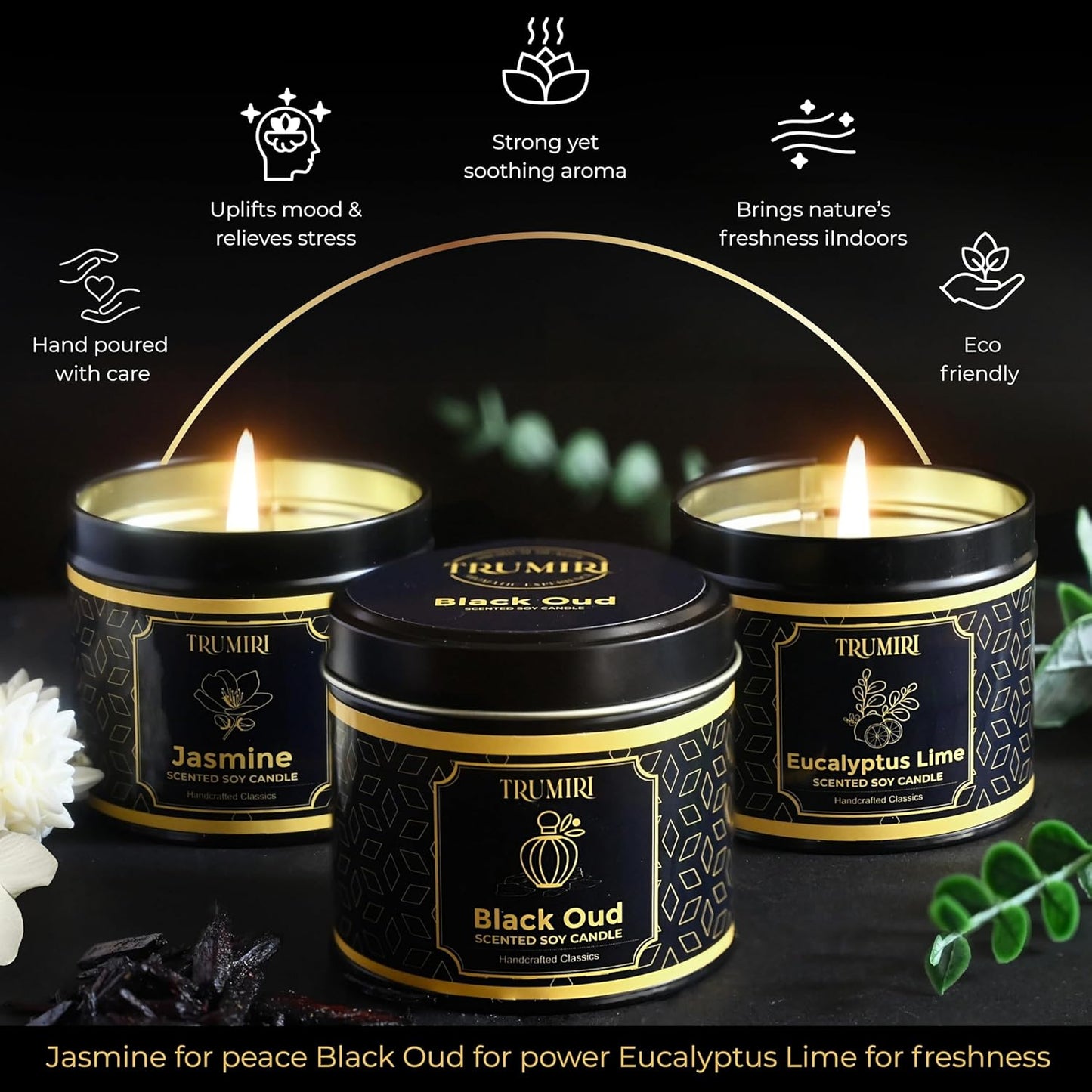 Candle Gift Set of 3 Black Oud|Jasmine|Eucalyptus Lime Highly Scented Soy Candels Natural Non Toxic Velas Aromáticas Favors for Women Coworkers Friends Guests Also for Fall Diwali Christmas Holidays