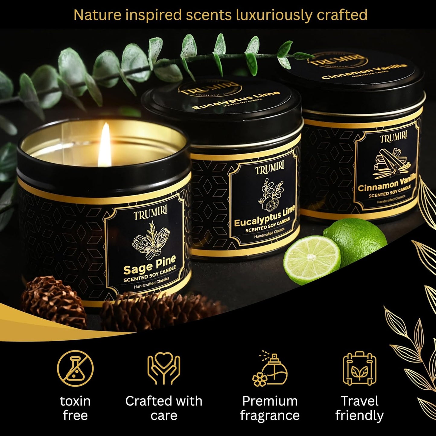 Candle Gift Set Of 3 Sage Pine|Cinnamon Vanilla|Eucalyptus Lime Highly Scented Soy Candels Clean Non Toxic Velas Aromáticas Favors For Women Coworkers Friends Guests Also For Diwali Christmas Holidays