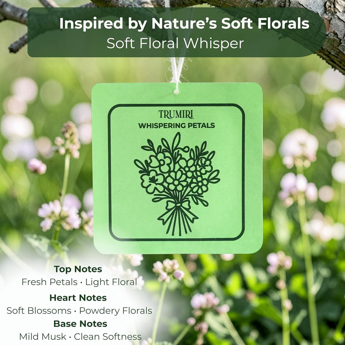 Vanilla Bliss - Room Deodorizer Gel Odor Eliminator For Home - Bathroom Air Freshener Odor Absorber - Closet Deodorizer - Long Lasting Non Plug In Strong Scent For Kitchen Trash Basement Shoe Rack