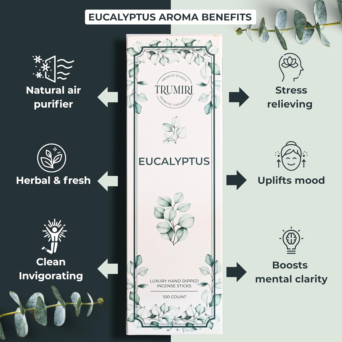 Eucalyptus Incense Sticks - Pack of 100 Insence-Sticks - Inciensos Aromaticos Made with Natural Essential Oil - Scented Insense Non Toxic Inscents