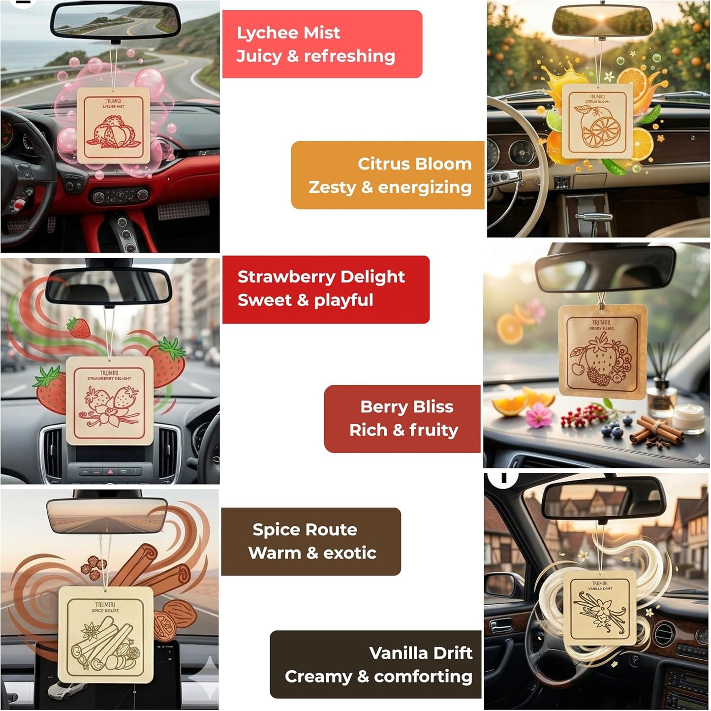 Long Lasting Car Air Freshener Deodorizer Hanging Type Gel Based Scent Diffuser - Variety Pack Of 6 - Citrus Bloom|Lychee Mist|Strawberry Delight|Berry Bliss|Spice Route|Vanilla