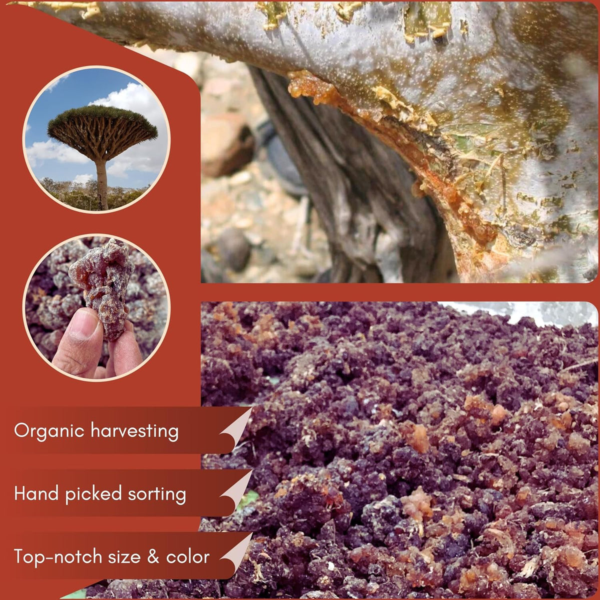 Myrrh Resin Incense - Mirra - Natural Tree Gum Sap - 30g Pack